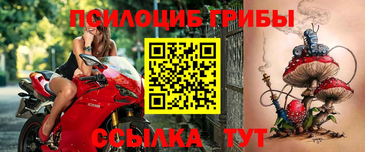 Псилоцибиновые грибы прущие грибы Биробиджан